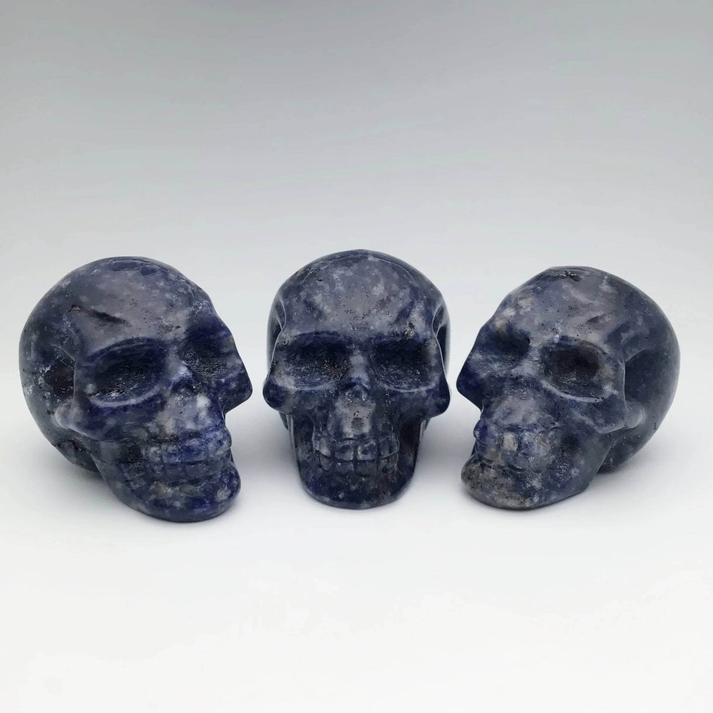 Carved Sodalite Skull-Rocks and Gems Canada