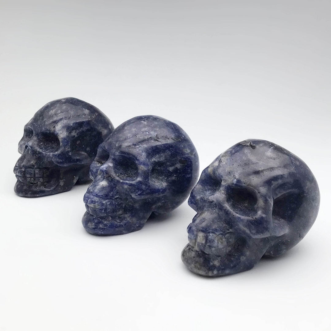 Carved Sodalite Skull-Rocks and Gems Canada