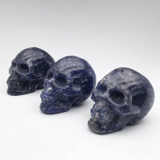 Carved Sodalite Skull-Rocks and Gems Canada