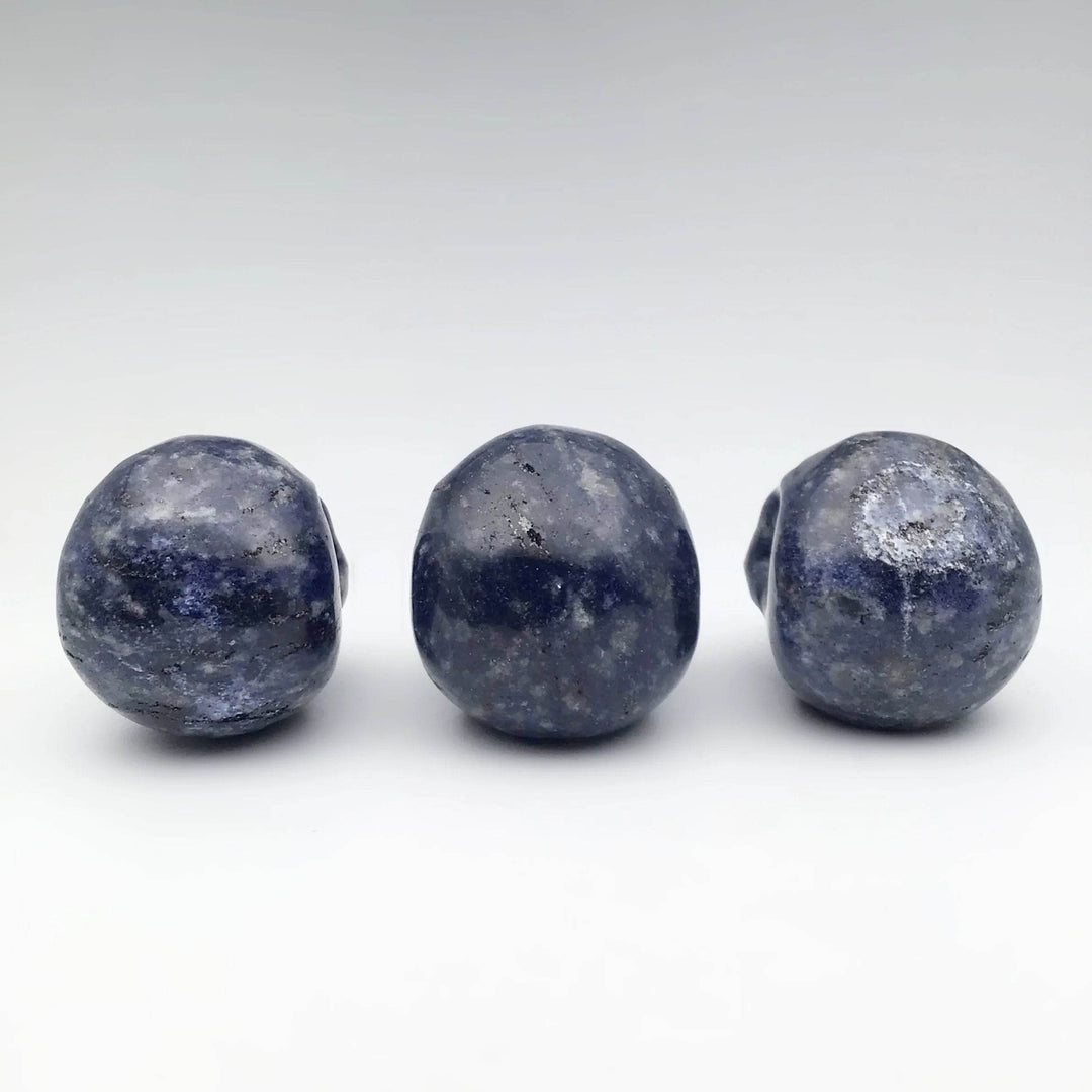 Carved Sodalite Skull-Rocks and Gems Canada