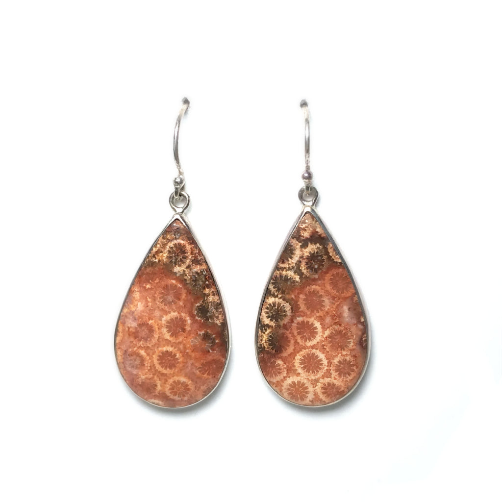 Fossilized Coral Dangle Earrings