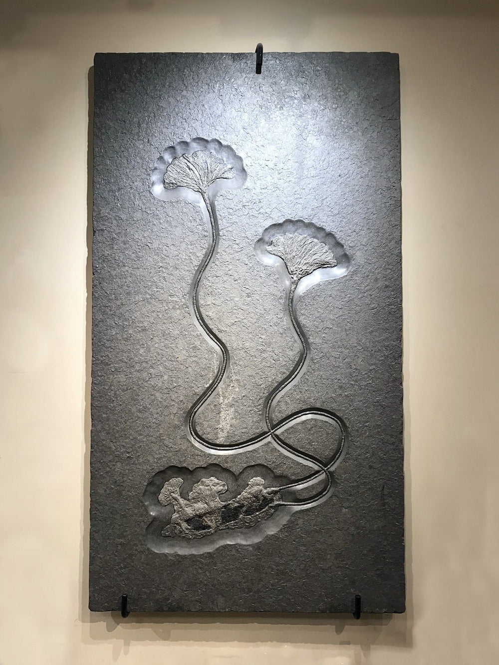 Fossil Crinoids - Rocks and Gems Canada