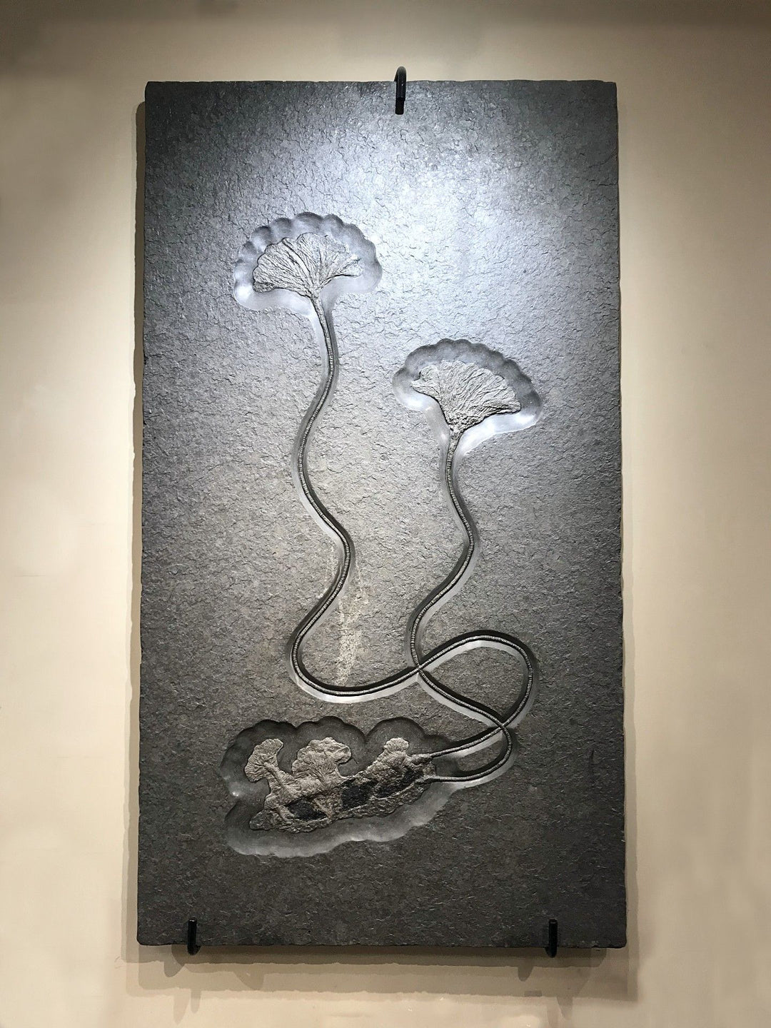 Fossil Crinoids - Rocks and Gems Canada