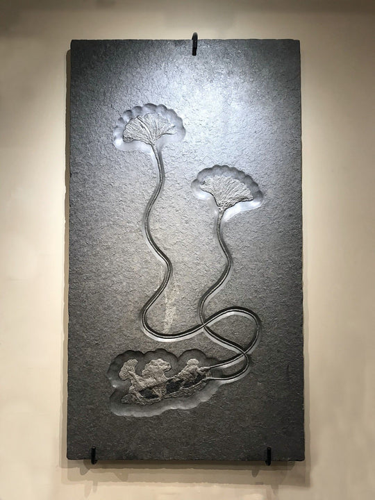 Fossil Crinoids - Rocks and Gems Canada