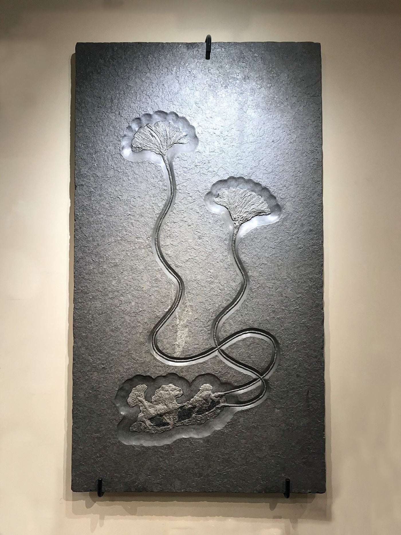 Fossil Crinoids