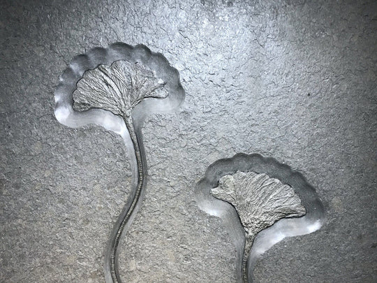 Fossil Crinoids - Rocks and Gems Canada