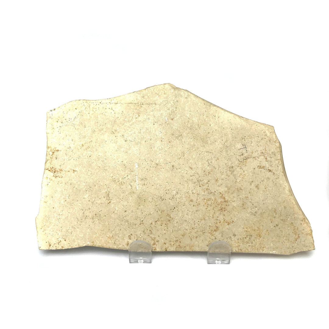 Dragonfly Fossil-Rocks and Gems Canada