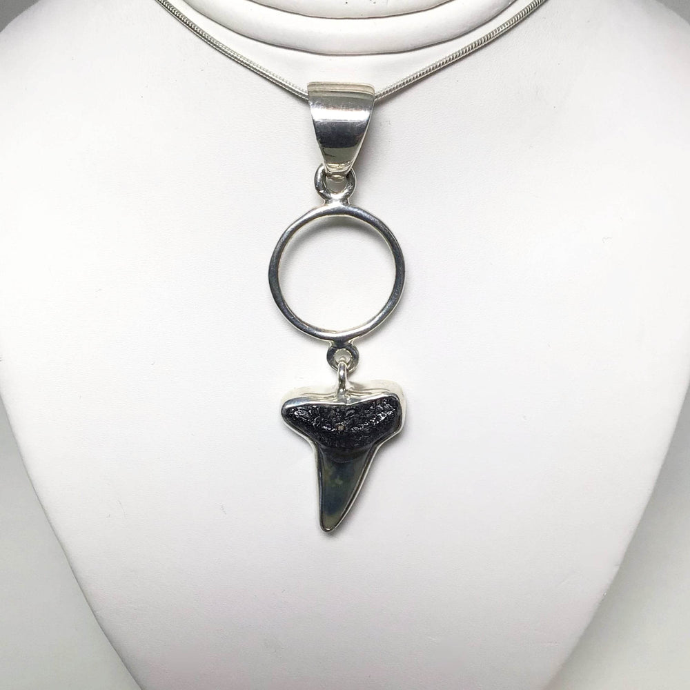 Fossilized Shark Tooth Pendant-Rocks and Gems Canada