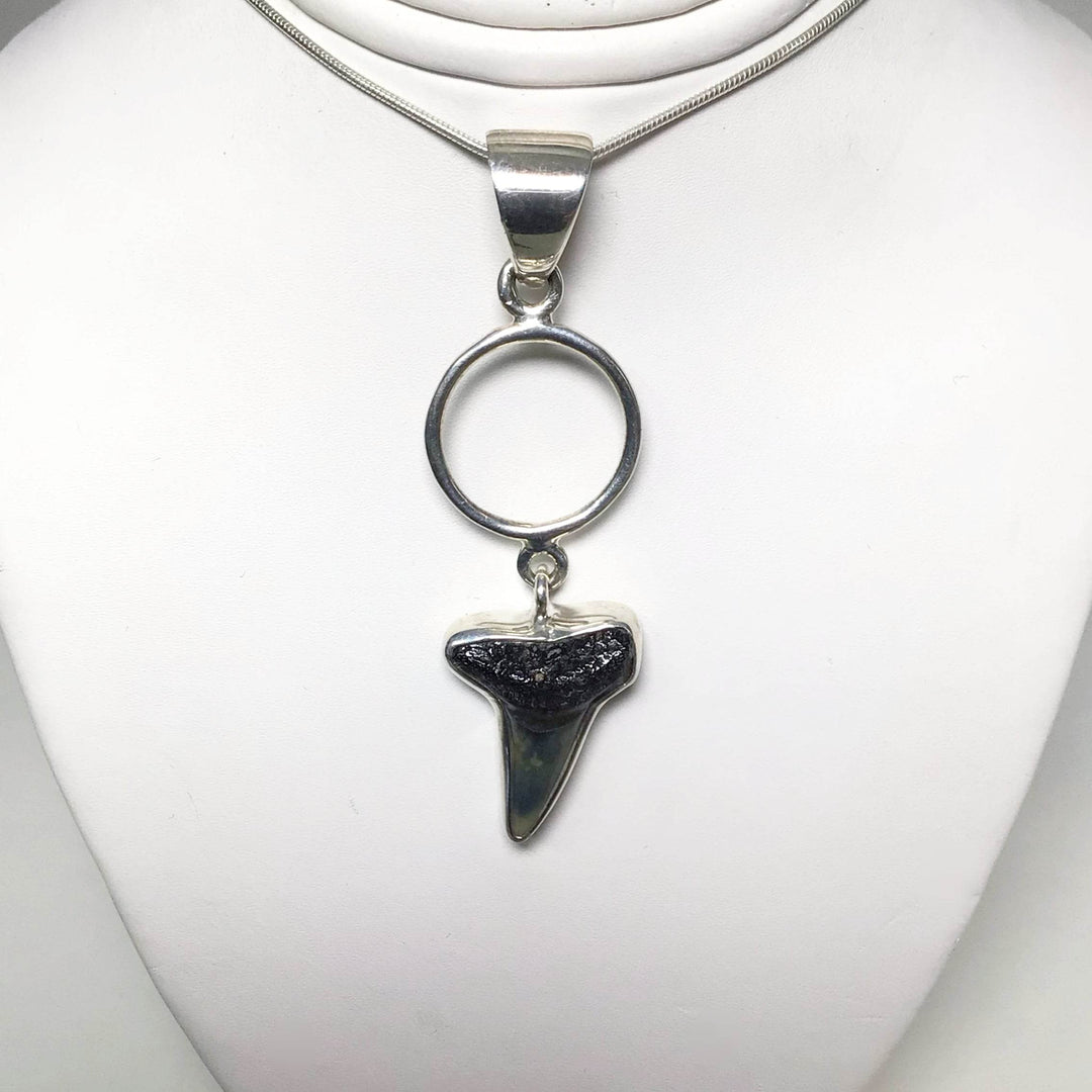 Fossilized Shark Tooth Pendant-Rocks and Gems Canada