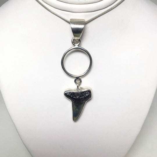 Fossilized Shark Tooth Pendant-Rocks and Gems Canada
