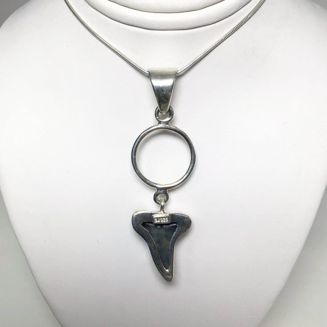 Fossilized Shark Tooth Pendant-Rocks and Gems Canada
