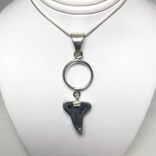 Fossilized Shark Tooth Pendant-Rocks and Gems Canada