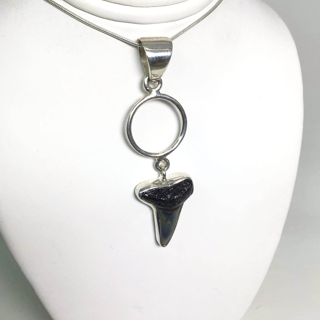 Fossilized Shark Tooth Pendant-Rocks and Gems Canada