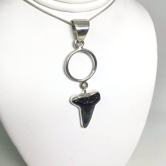 Fossilized Shark Tooth Pendant-Rocks and Gems Canada