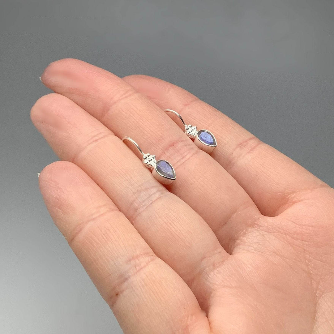 Labradorite Dangle Earrings-Rocks and Gems Canada