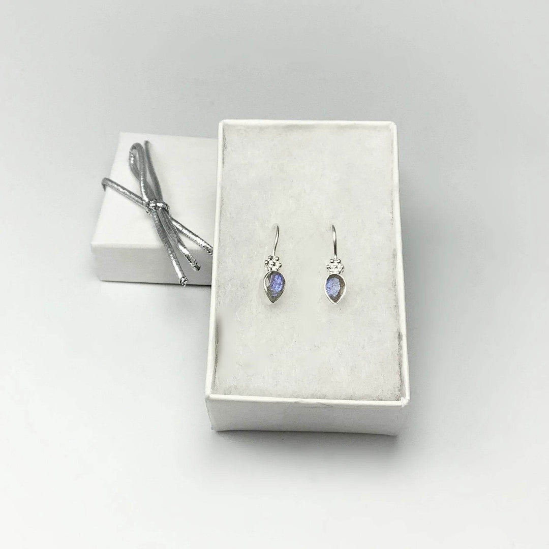 Labradorite Dangle Earrings-Rocks and Gems Canada