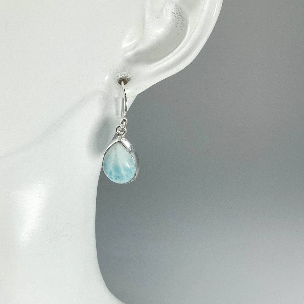 Larimar Dangle Earrings-Rocks and Gems Canada