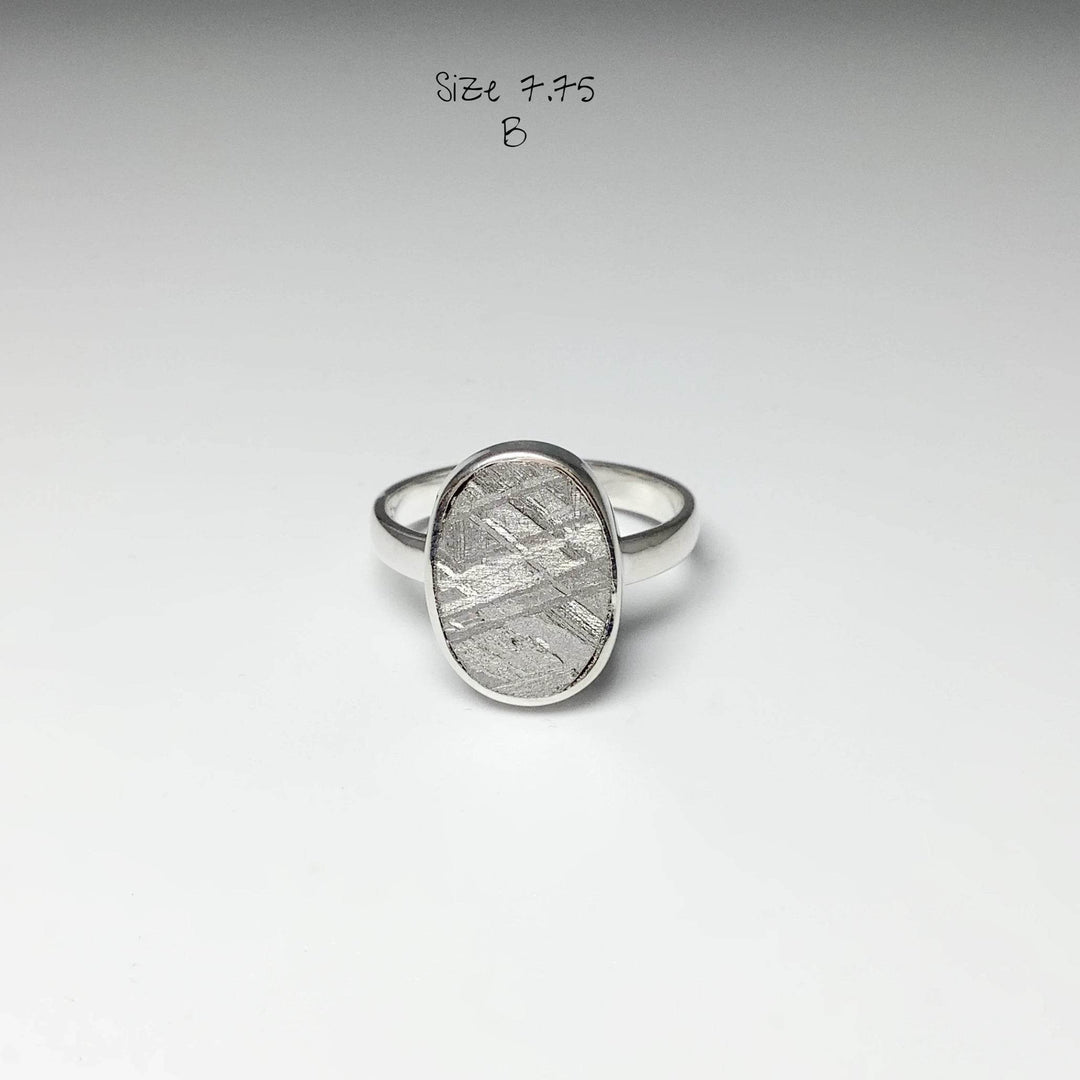 Muonionalusta Meteorite Ring-Rocks and Gems Canada