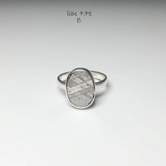 Muonionalusta Meteorite Ring-Rocks and Gems Canada
