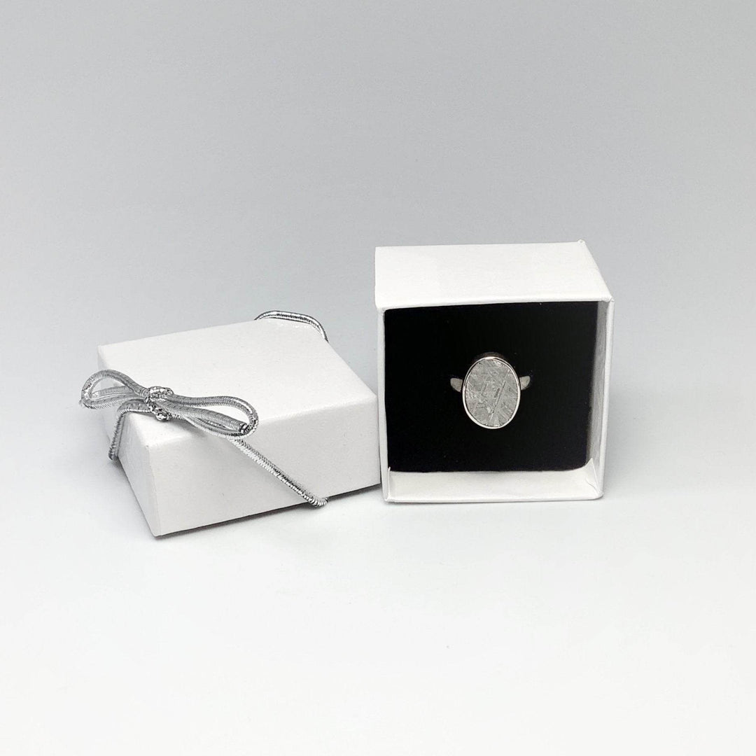 Muonionalusta Meteorite Ring-Rocks and Gems Canada