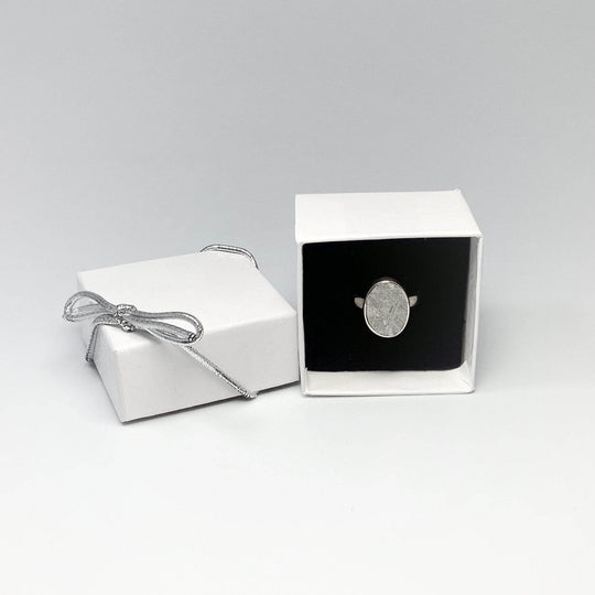 Muonionalusta Meteorite Ring-Rocks and Gems Canada
