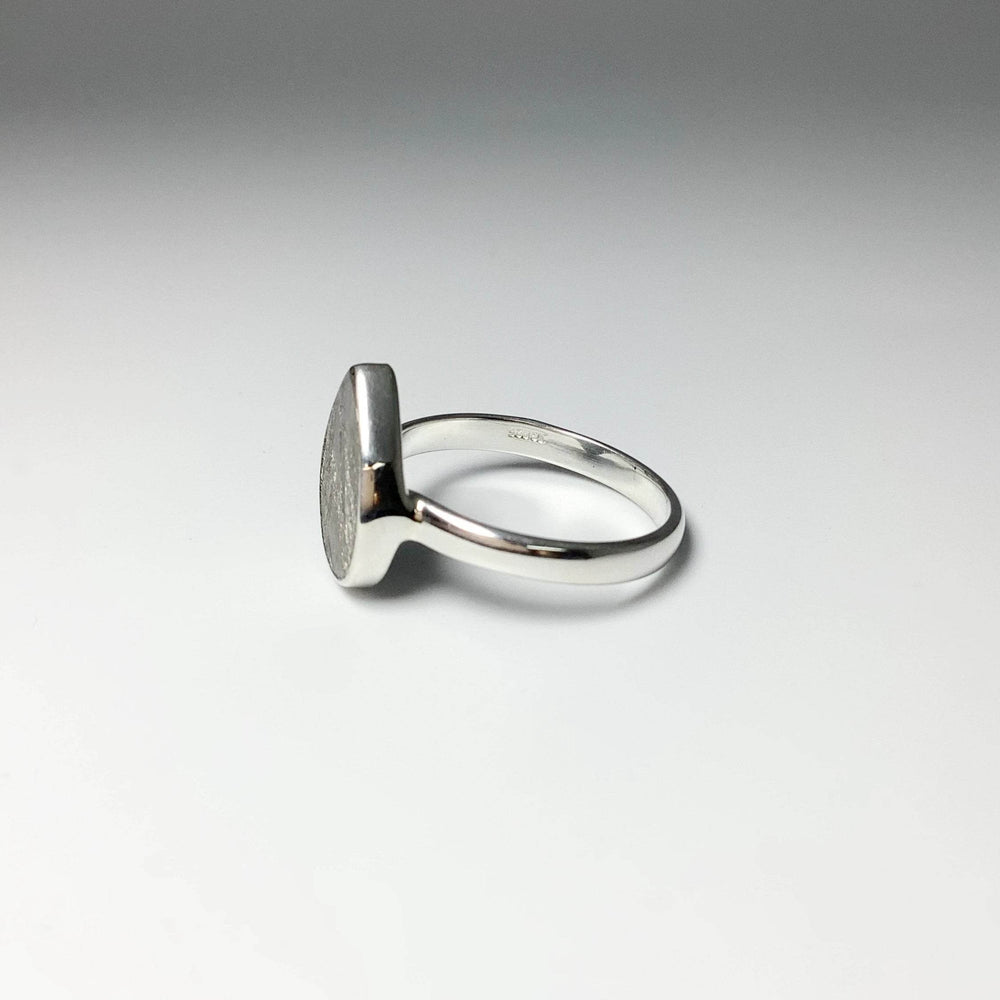 Muonionalusta Meteorite Ring-Rocks and Gems Canada