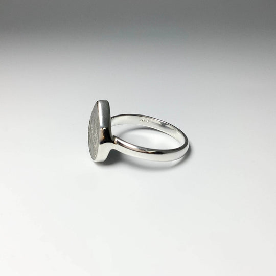 Muonionalusta Meteorite Ring-Rocks and Gems Canada