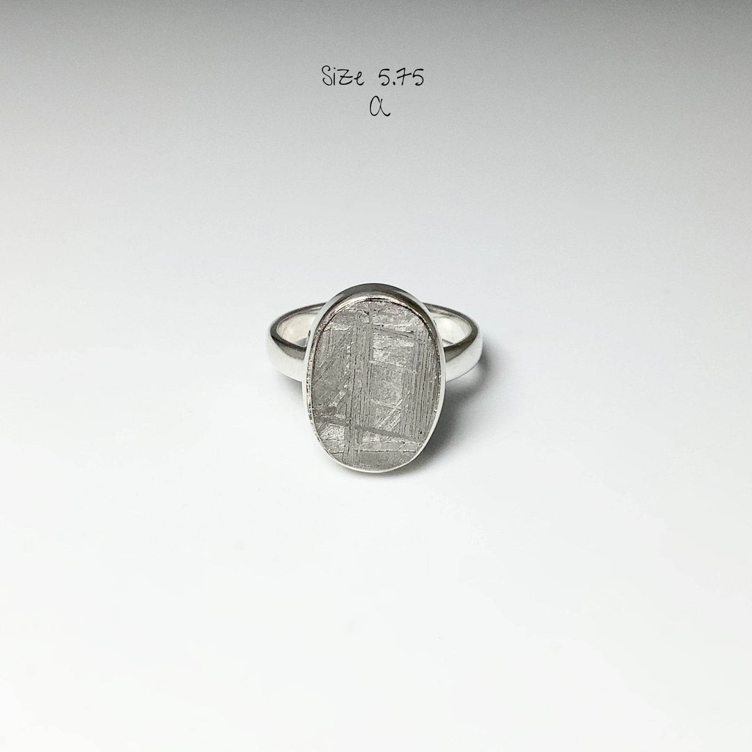Muonionalusta Meteorite Ring-Rocks and Gems Canada