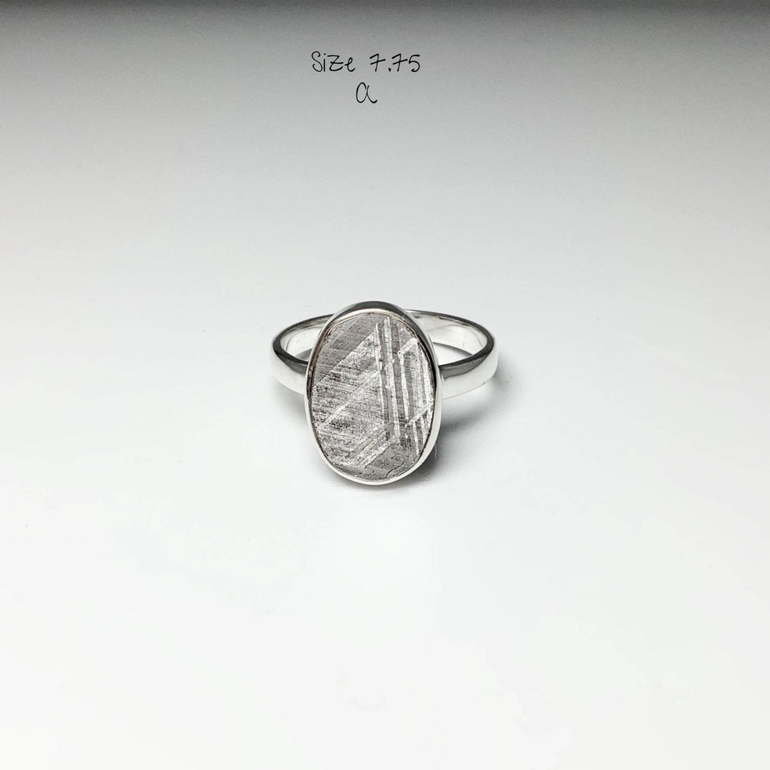 Muonionalusta Meteorite Ring-Rocks and Gems Canada