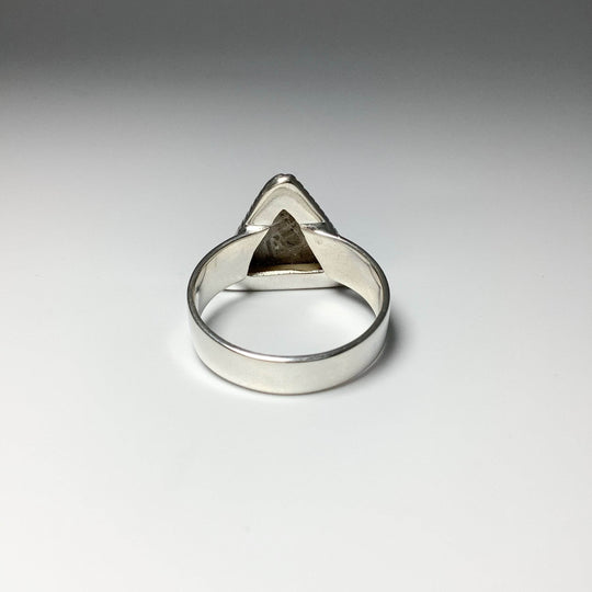 Muonionalusta Meteorite Triangle Setting Ring-Rocks and Gems Canada