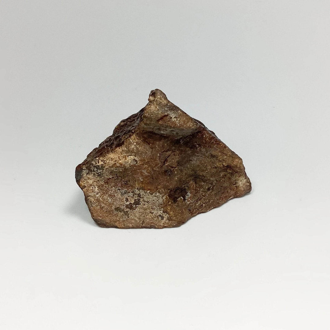 NWA Chondrite Meteorite-Rocks and Gems Canada