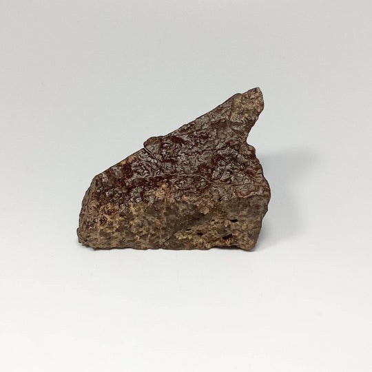 NWA Chondrite Meteorite-Rocks and Gems Canada