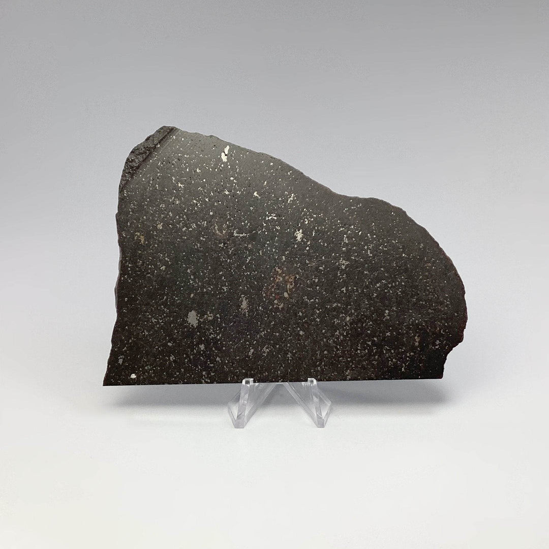 NWA Chondrite Meteorite Slab-Rocks and Gems Canada