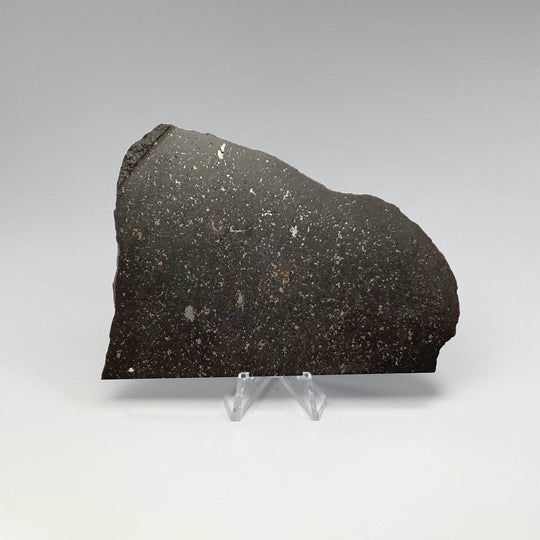 NWA Chondrite Meteorite Slab-Rocks and Gems Canada