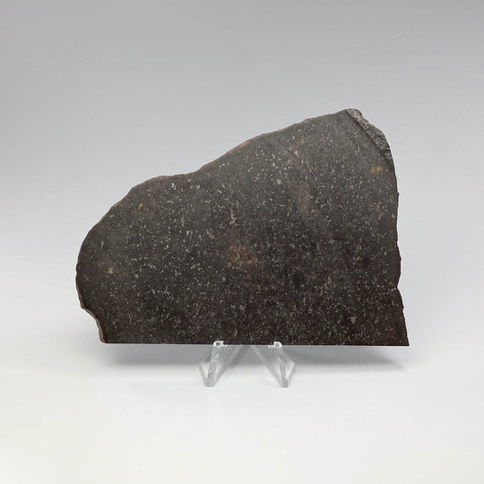 NWA Chondrite Meteorite Slab-Rocks and Gems Canada