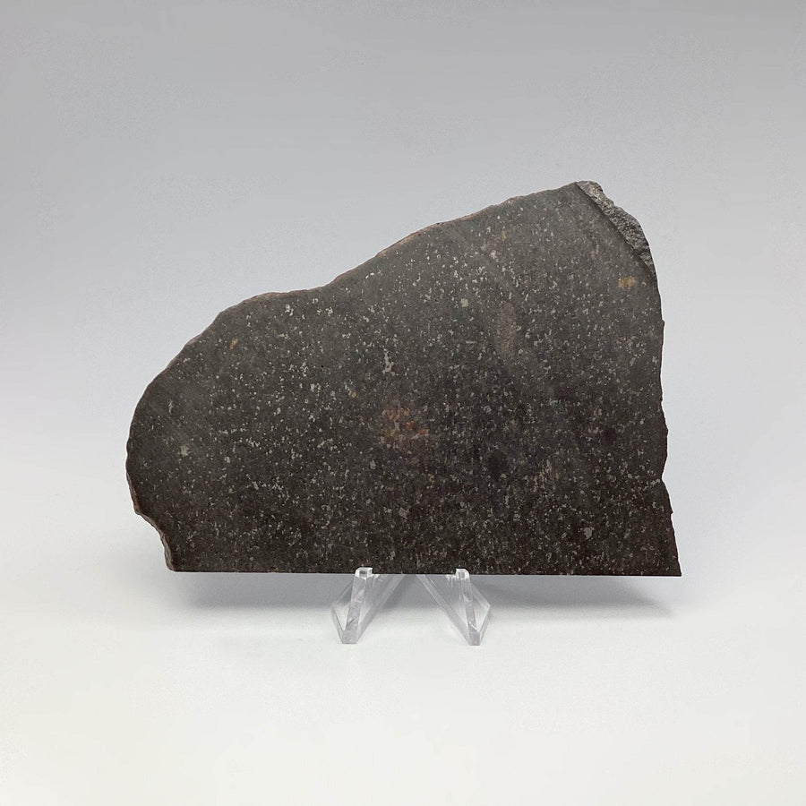 NWA Chondrite Meteorite Slab-Rocks and Gems Canada