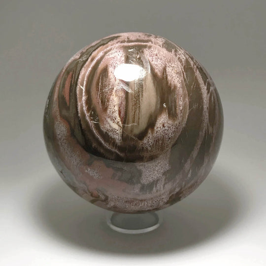 Petrified Wood Sphere-Rocks and Gems Canada