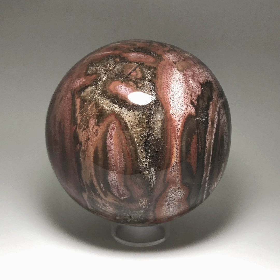 Petrified Wood Sphere-Rocks and Gems Canada