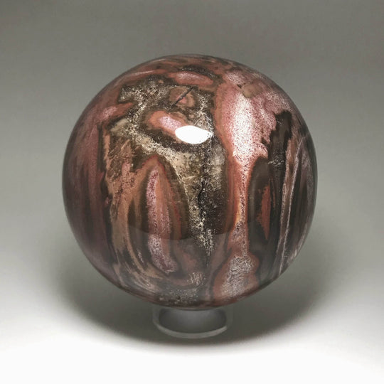 Petrified Wood Sphere-Rocks and Gems Canada