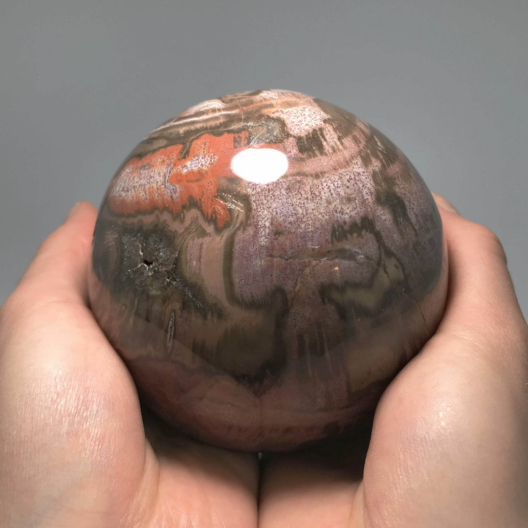 Petrified Wood Sphere-Rocks and Gems Canada