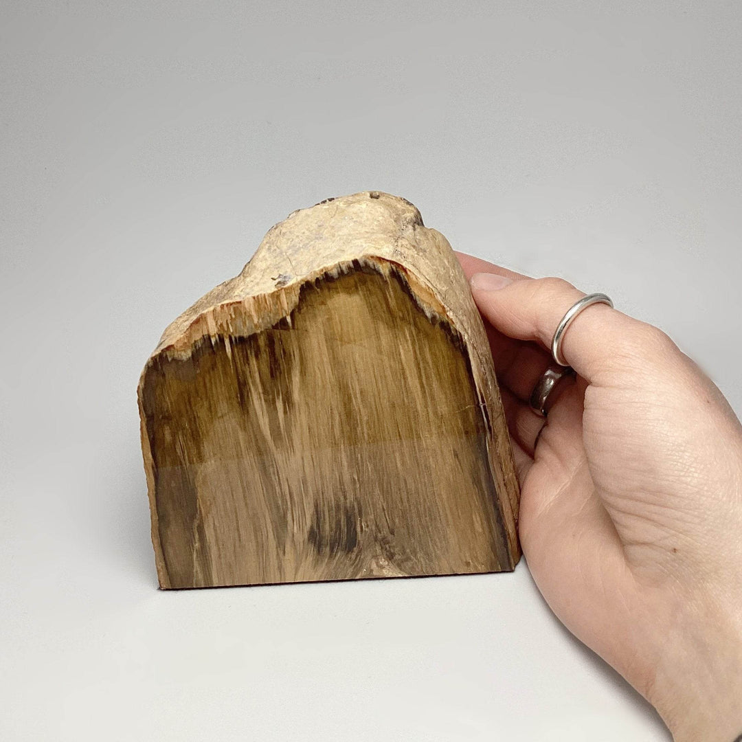 Petrified Wood Stand Up-Rocks and Gems Canada