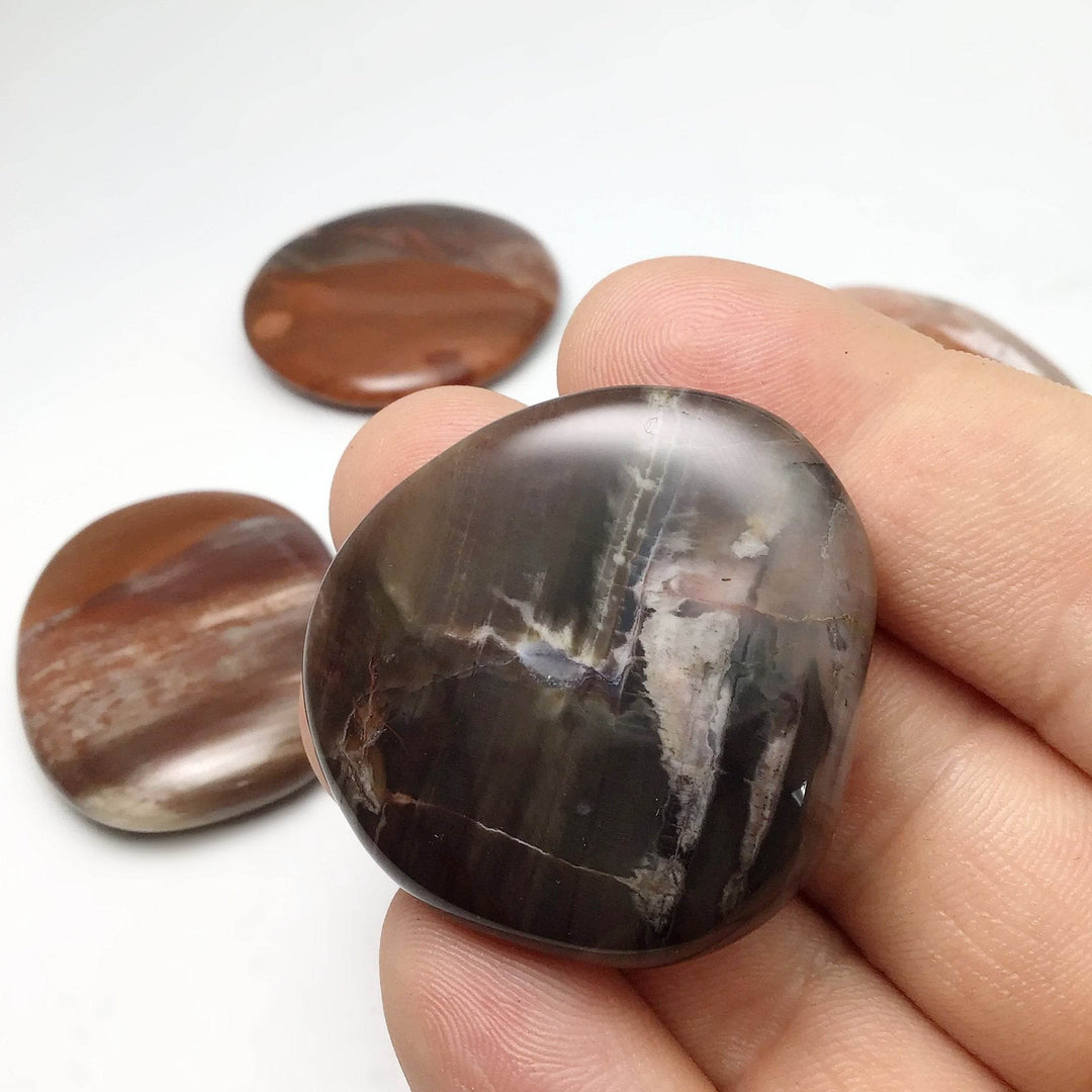 Petrified Wood Touch Stone-Rocks and Gems Canada