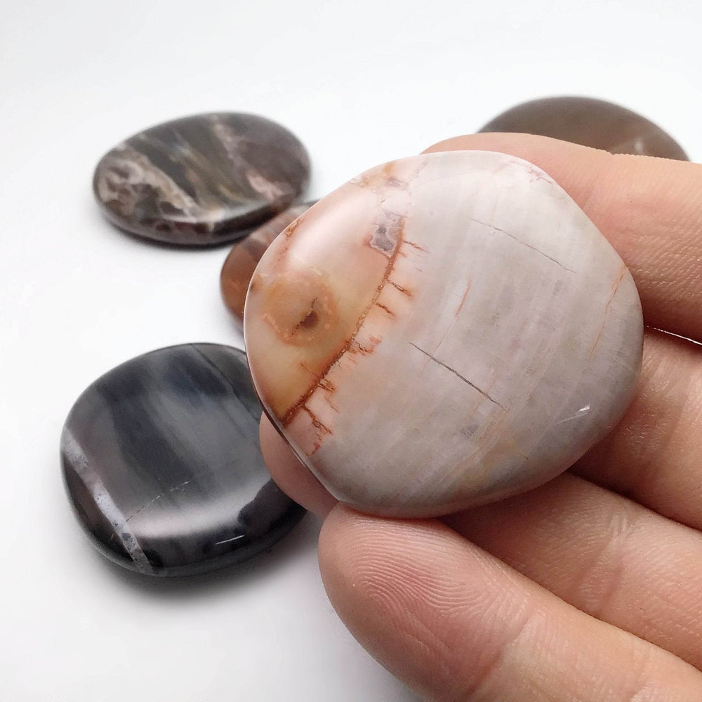 Petrified Wood Touch Stone-Rocks and Gems Canada