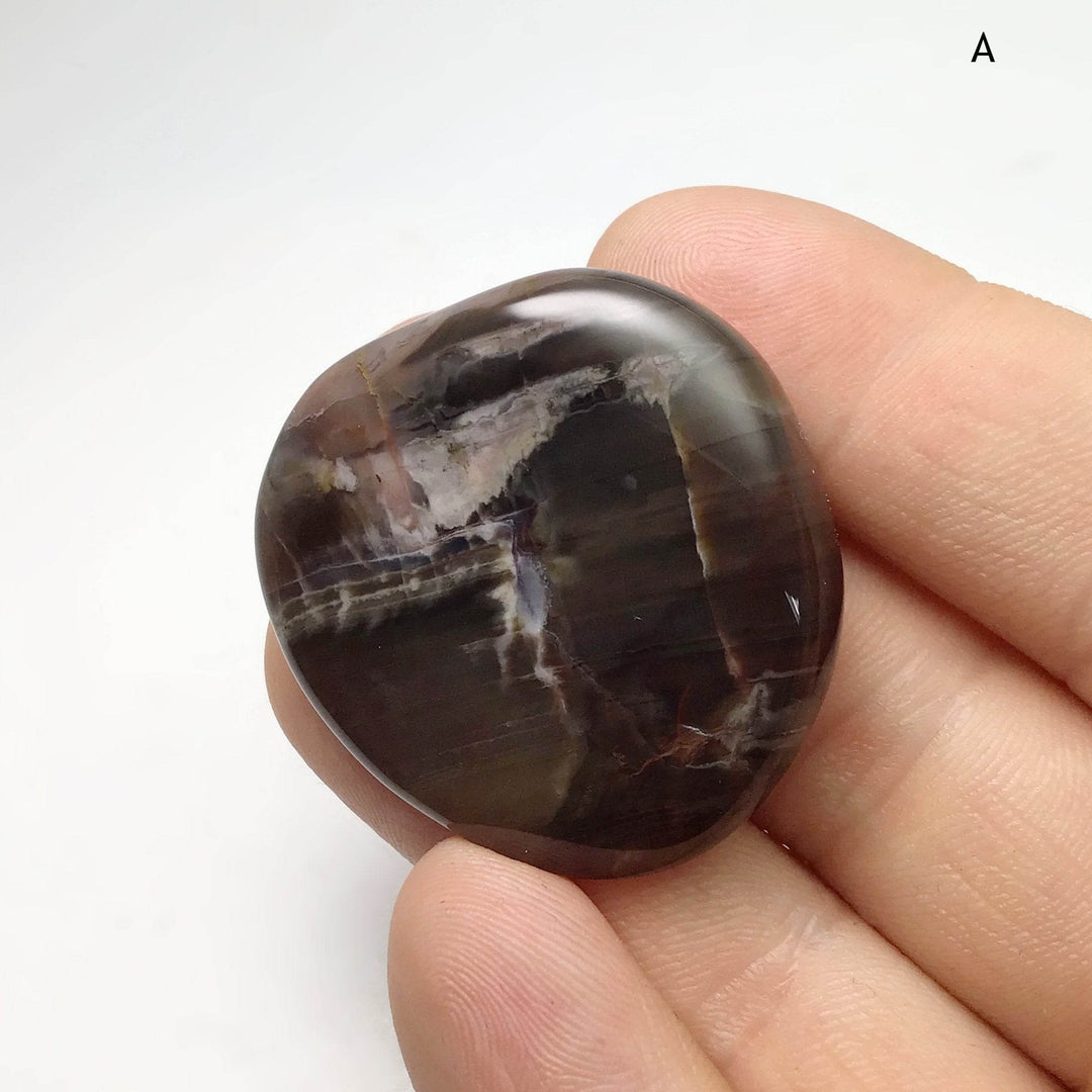 Petrified Wood Touch Stone-Rocks and Gems Canada