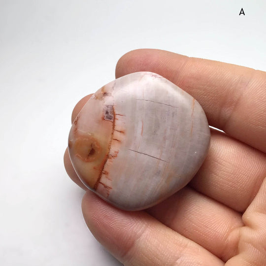 Petrified Wood Touch Stone-Rocks and Gems Canada