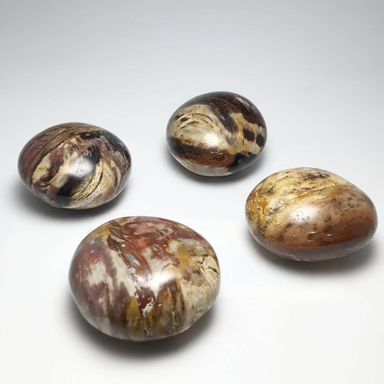 Petrified Wood Tumble-Rocks and Gems Canada