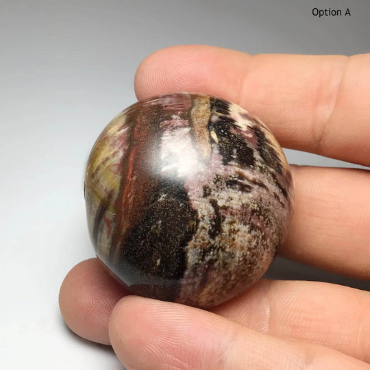 Petrified Wood Tumble-Rocks and Gems Canada