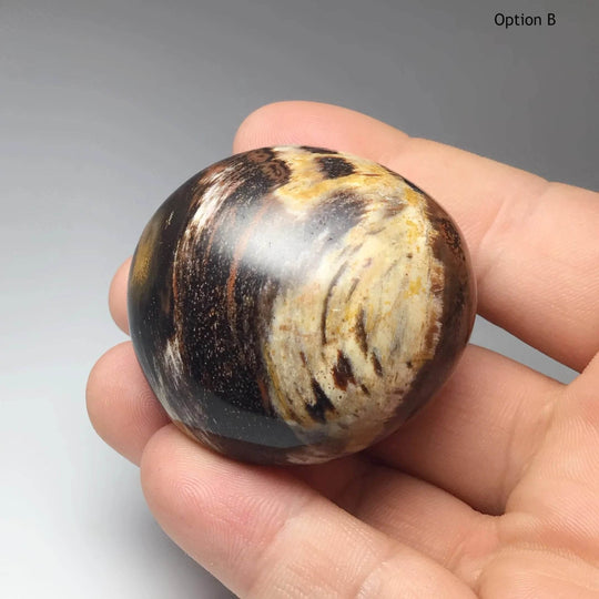 Petrified Wood Tumble-Rocks and Gems Canada