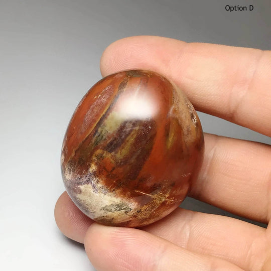 Petrified Wood Tumble-Rocks and Gems Canada
