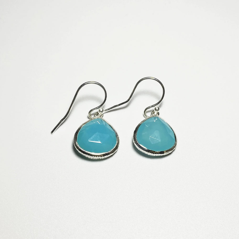 Blue Onyx Dangle Earrings - Rocks and Gems Canada